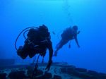 Hawaii Scuba divng 57