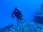 Hawaii Scuba divng 59