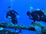 Hawaii Scuba divng 66