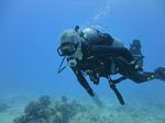 Hawaii Scuba divng 76