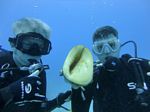 Hawaii Scuba divng 79