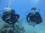 Hawaii Scuba divng 80