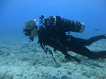 Hawaii Scuba divng 91