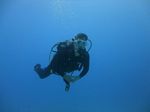 Hawaii Scuba divng 92