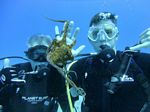 Hawaii Scuba divng 09