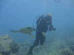 Hawaii Scuba divng 11