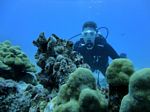 Hawaii Scuba divng 12