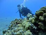 Hawaii Scuba divng 14