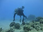 Hawaii Scuba divng 18