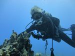 Hawaii Scuba divng 19