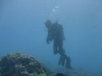 Hawaii Scuba divng 01