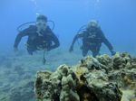 Hawaii Scuba divng 20