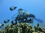 Hawaii Scuba divng 24