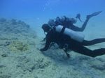 Hawaii Scuba divng 29