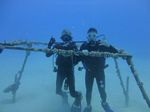 Hawaii Scuba divng 30