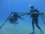 Hawaii Scuba divng 31