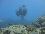 Hawaii Scuba divng 41