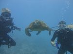 Hawaii Scuba divng 46