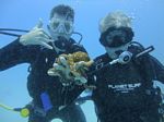 Hawaii Scuba divng 58