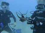 Hawaii Scuba divng 63