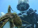 Hawaii Scuba divng 69