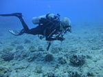 Hawaii Scuba divng 06