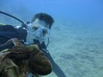 Hawaii Scuba divng 70