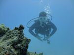 Hawaii Scuba divng 74