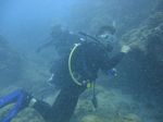 Hawaii Scuba divng 86