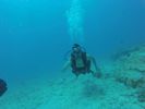 Hawaii Scuba divng 12