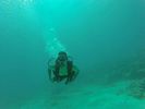 Hawaii Scuba divng 20