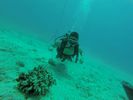 Hawaii Scuba divng 39