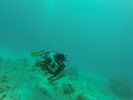 Hawaii Scuba divng 42