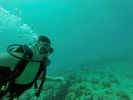 Hawaii Scuba divng 44