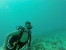 Hawaii Scuba divng 45