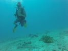 Hawaii Scuba divng 46