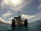 Hawaii Scuba divng 04