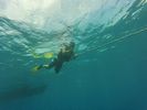 Hawaii Scuba divng 05