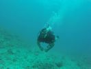 Hawaii Scuba divng 10