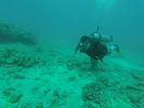 Hawaii Scuba divng 11