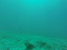 Hawaii Scuba divng 12