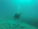 Hawaii Scuba divng 36