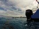 Hawaii Scuba divng 03