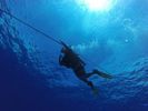 Hawaii Scuba divng 42