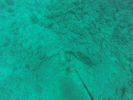 Hawaii Scuba divng 06