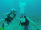 Hawaii Scuba divng 11