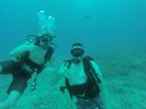 Hawaii Scuba divng 13