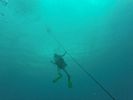 Hawaii Scuba divng 16