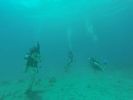 Hawaii Scuba divng 17