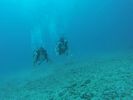 Hawaii Scuba divng 19